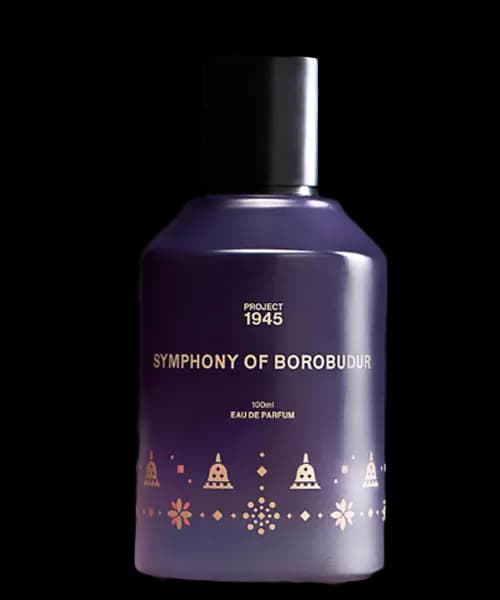 Symphony of Borobudur